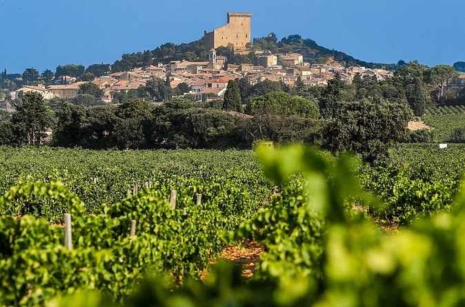 The village of Châteauneuf-du-Pape on its hill, a ruined castle keep above the vineyards