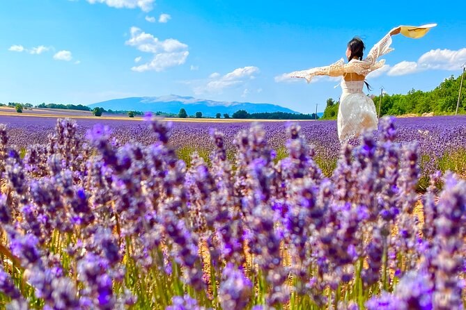 A day in the Lavenders and Villages of Provence