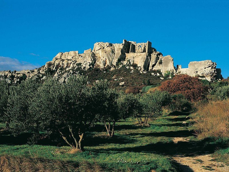 The bare rock of Les Baux above rows of olive trees