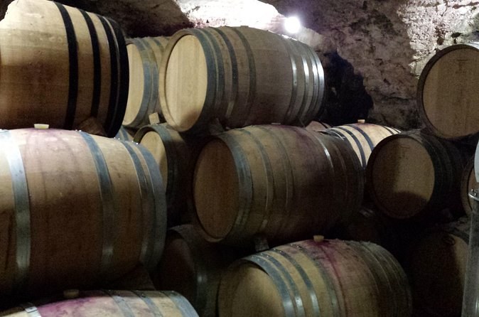 Oak barrels stacked in a dim wine cellar