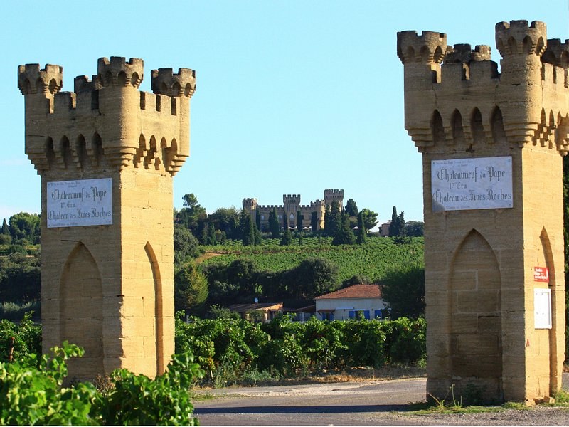 Two stone gateway towers at the entrance to a wine estate among the vines